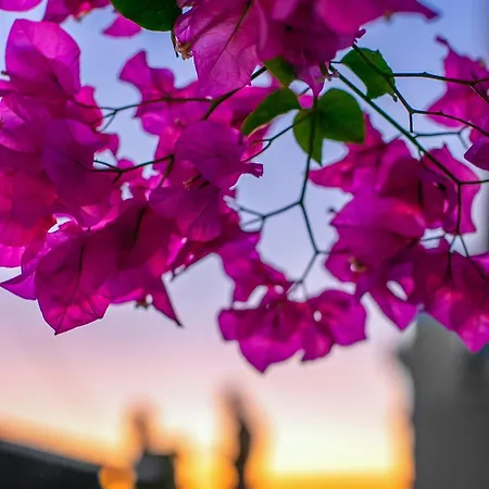 Abelonas Retreat Imerovigli (Santorini)