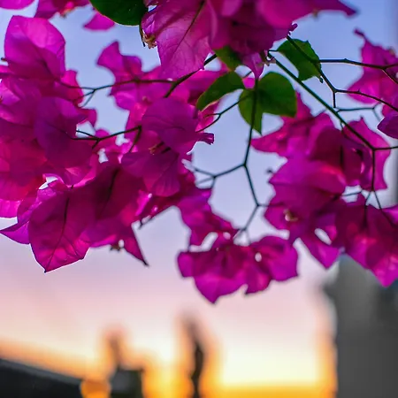 Abelonas Retreat 4* Imerovigli (Santorini)